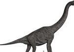 Dinosaurus “Vulcain” má nového majiteľa a bude verejne dostupný