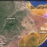 Africká únia a bezpečnostná intervencia: Funguje kontinentálna mierová architektúra