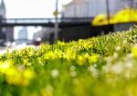 Sobota bude oblačná, bude však mimoriadne horúca