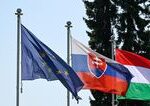 Stredoeurópania odmietajú americký naratív o slobode prejavu, ukazuje
prieskum