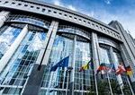 Európsky parlament presadzuje nové štandardy pre chov psov a mačiek