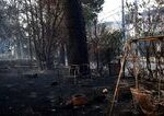 Grécko v dôsledku veľkých horúčav sužujú lesné požiare