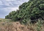 Nález kostrových pozostatkov v obci Veľké Ripňany vyšetrujú ako vraždu