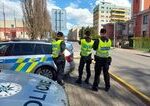 V českom zooparku ušiel z klietky lev a zranil ošetrovateľa, polícia ho zastrelila