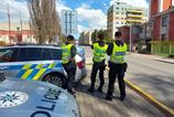 V českom zooparku ušiel z klietky lev a zranil ošetrovateľa, polícia ho zastrelila