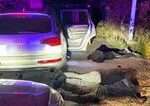 Polícia ukázala, ako sa skončila „divoká jazda“ troch mužov a tehotnej ženy v Nitre