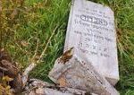 V židovskej časti cintorína na juhu Slovenska vyčíňali vandali