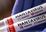 WHO upokojuje obavy z hantavírusu na lodi MV Hondius