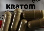 Rekordný úlovok v Česku: Colníci v Brne zaistili 800 kilogramov nelegálneho kratomu