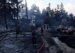 Lesný požiar pri gréckom Solúne si vyžiadal jednu obeť, plamene ohrozili dedinu Lete