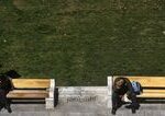 Zlé správy prišli z Európy, potom prepukla panika v Japonsku a všetko možno „zaklincuje“ Čína. Ľudstvo sa nemá kde schovať Zlé správy prišli z Európy, potom prepukla panika v Japonsku a všetko možno „zaklincuje“ Čína